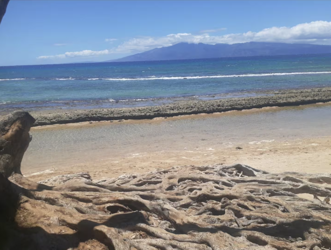 Neighborhood beach park and snorkeling 