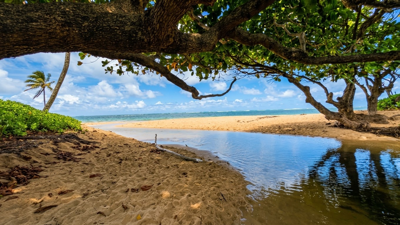 Nearby Beach | Shoreline varies by tides and seasons.