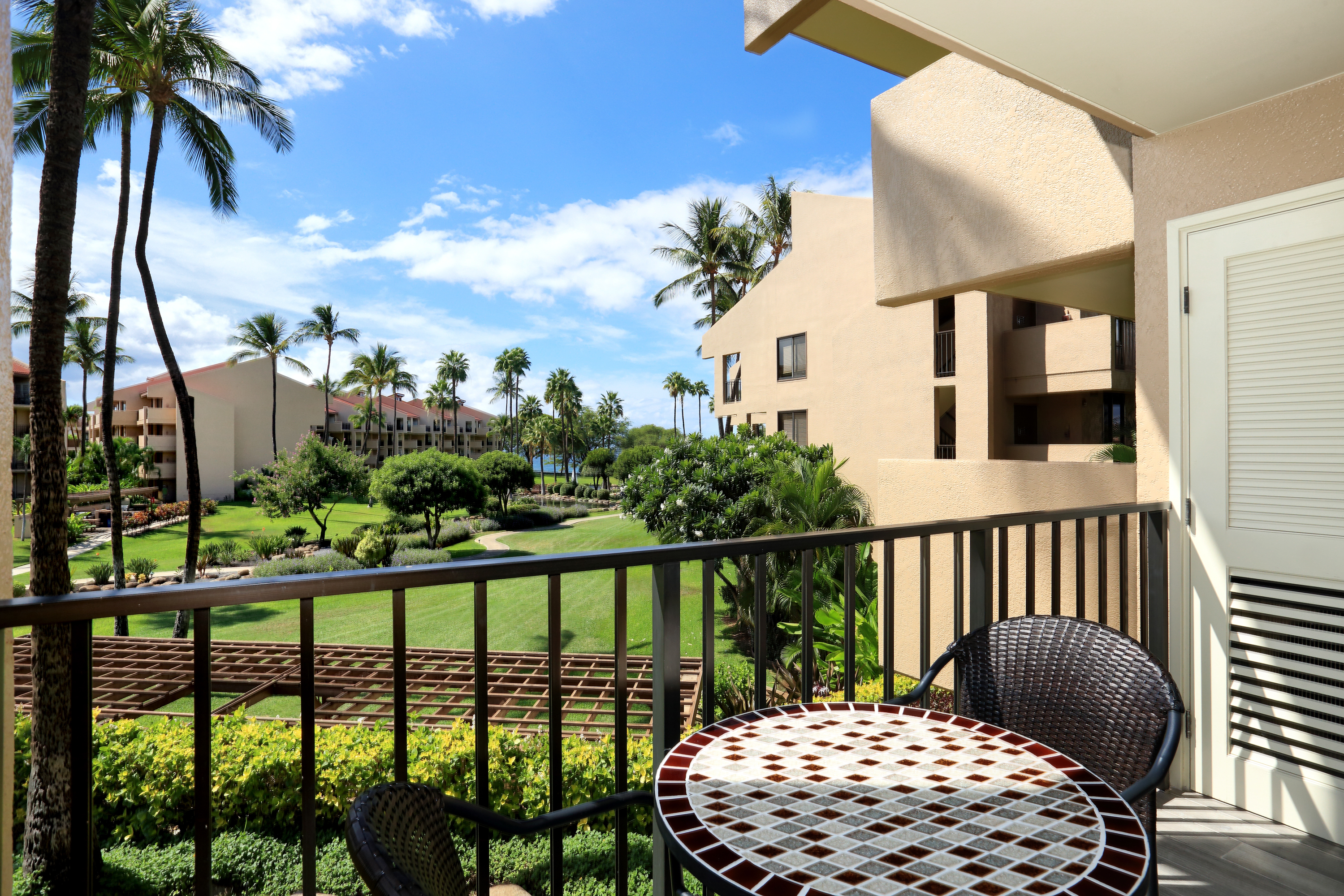 Ocean view under the tree tops from the lanai