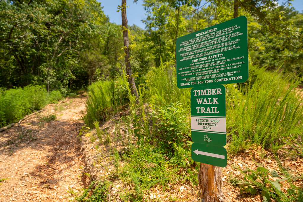 Over seven miles of trails around Tall Timbers Camp and one of the trailheads is just steps from the cabin!