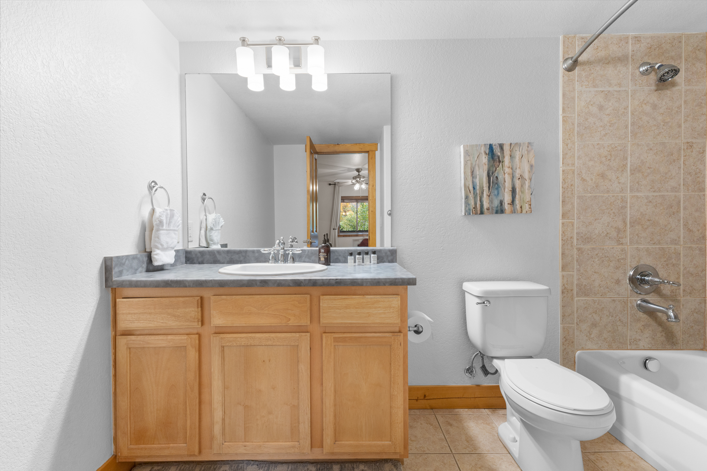  Ensuite Bathroom 1  | Tub and Shower Combo