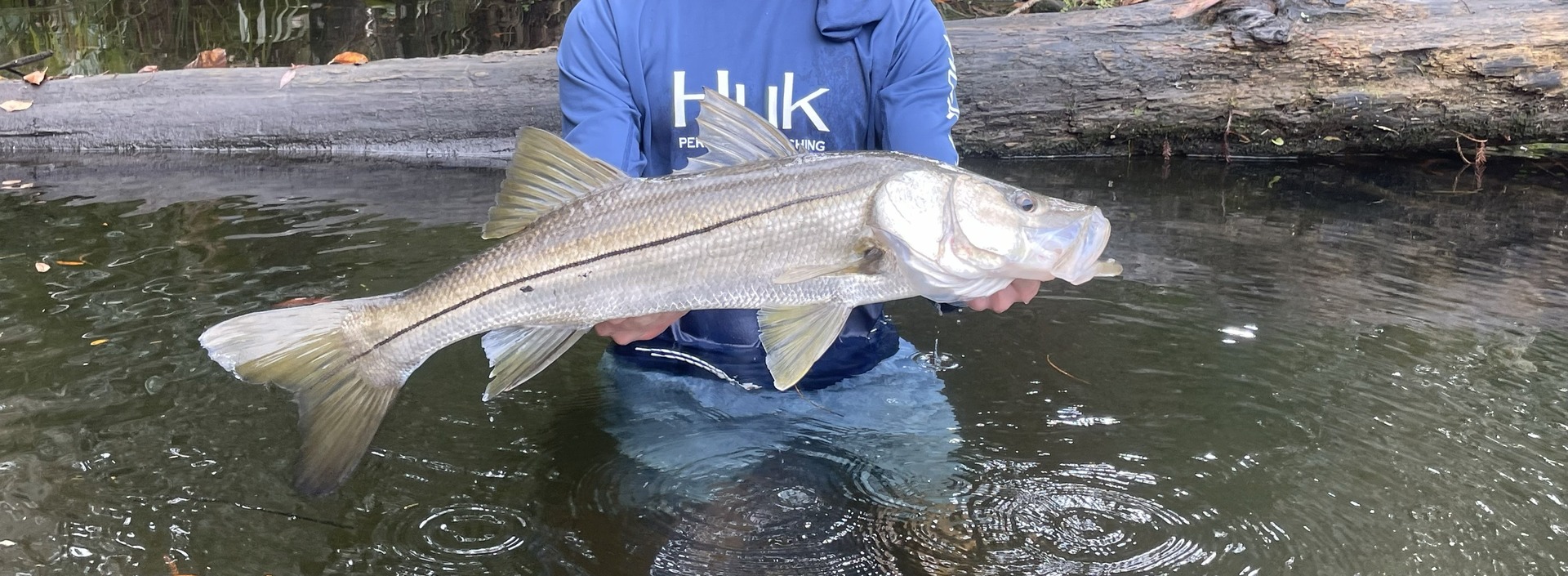 Guest caught this fish on the river