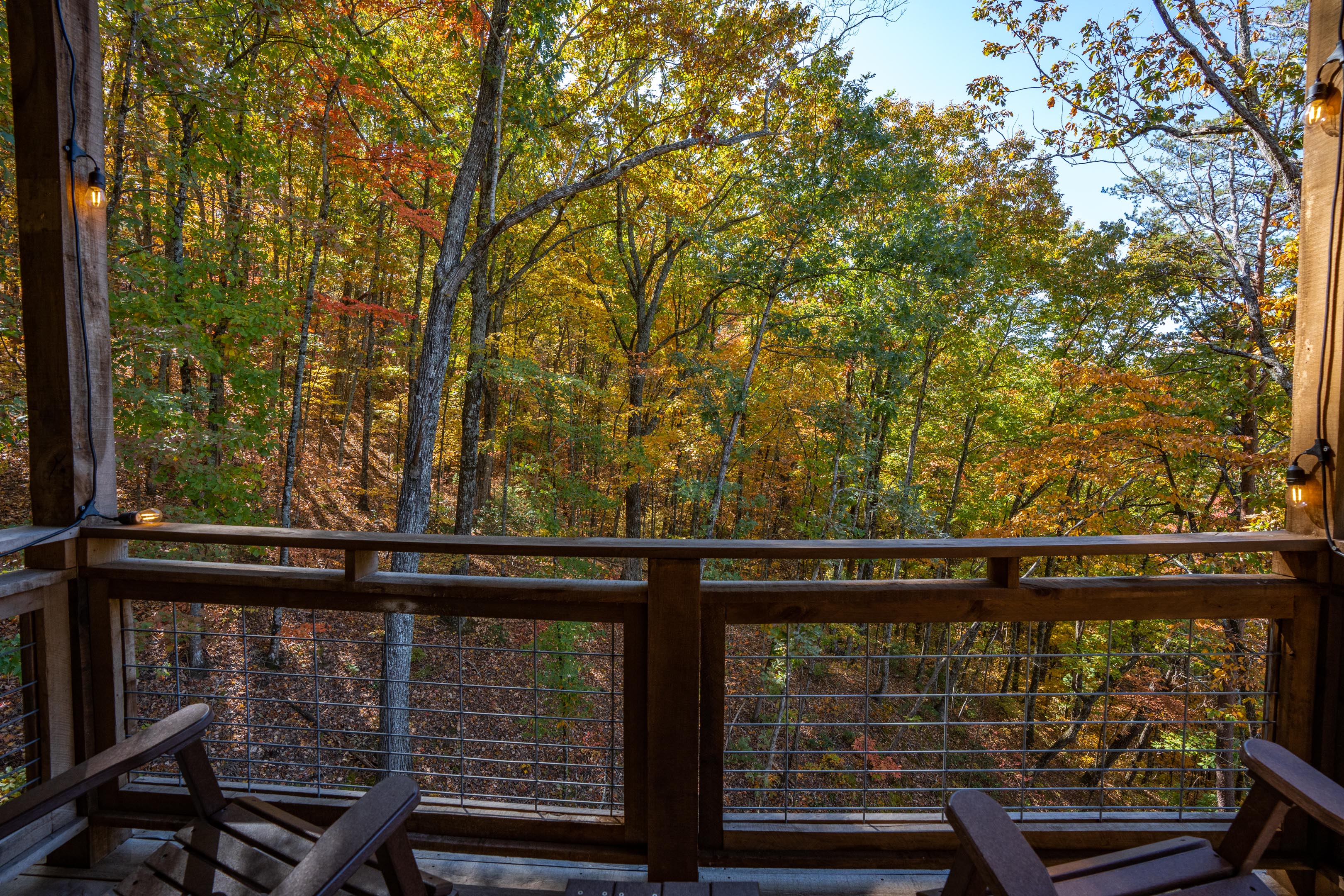 Fall foliage around Juniper