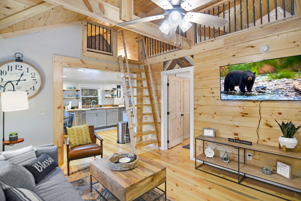 Ellijay Cabin:  Living Room