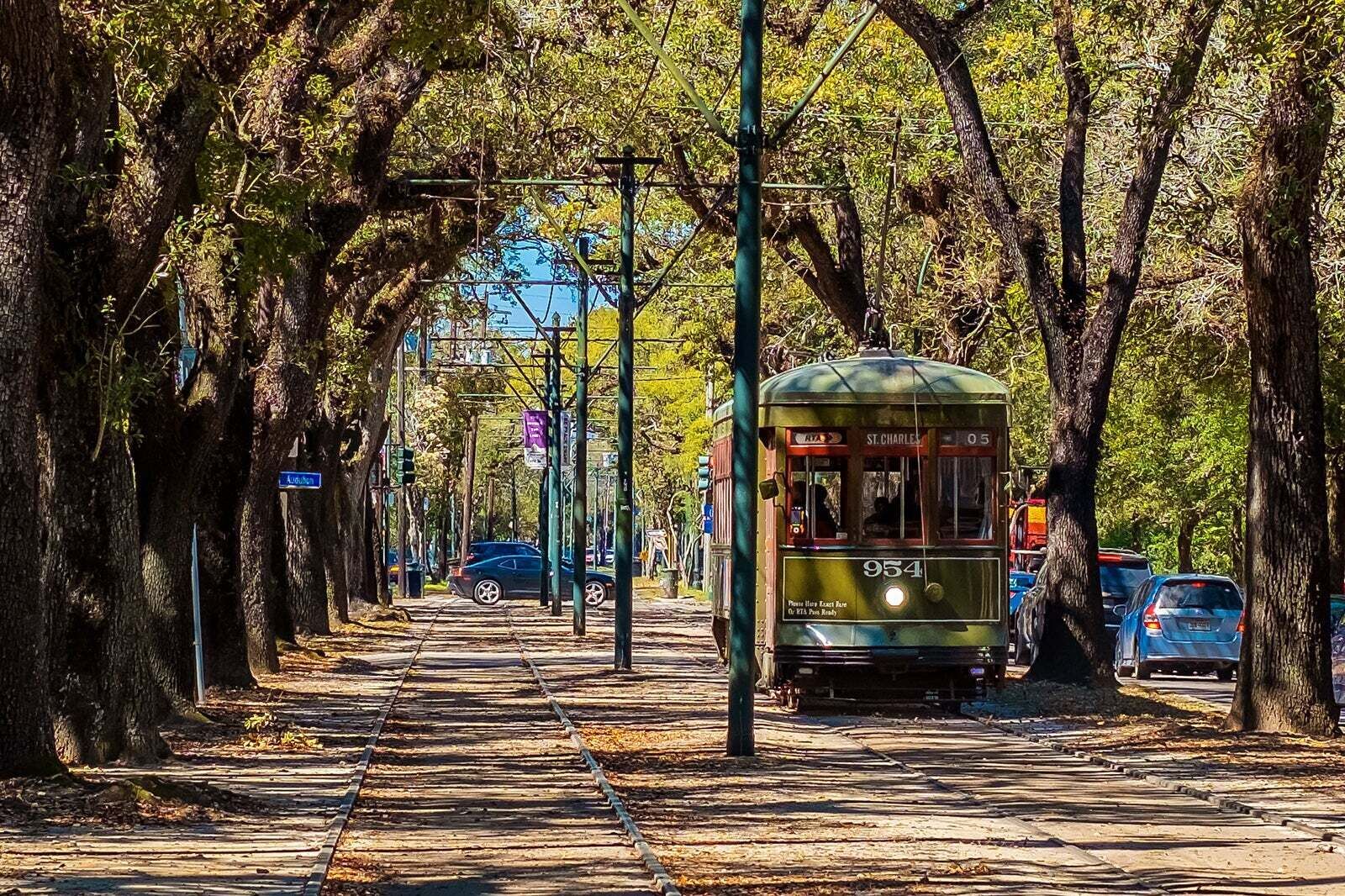 Street car tunneled by beautiful Oaks.