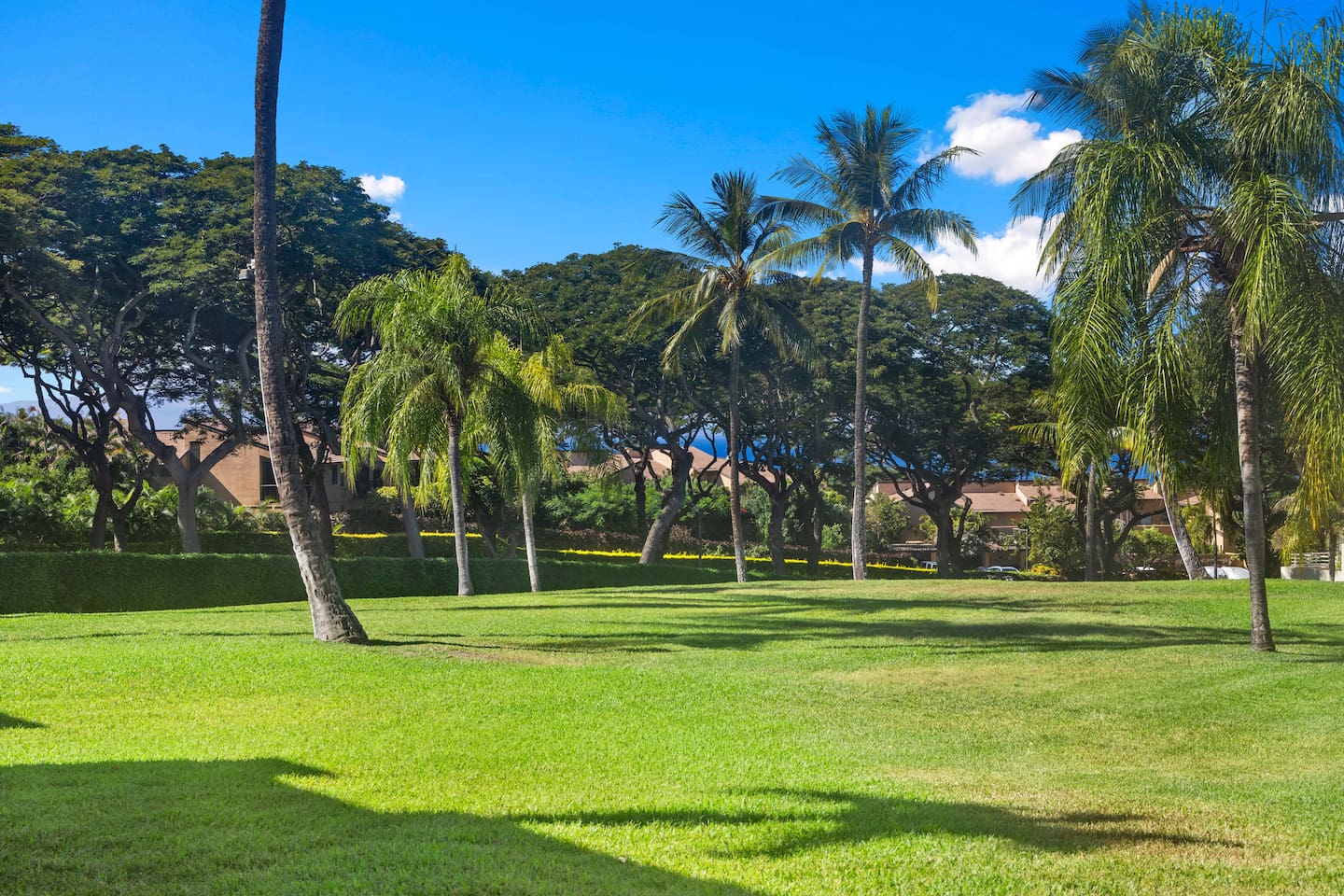 The oceanview is at a distance under the trees. Keawakapu beach is a 10 minute walk (or short drive) away