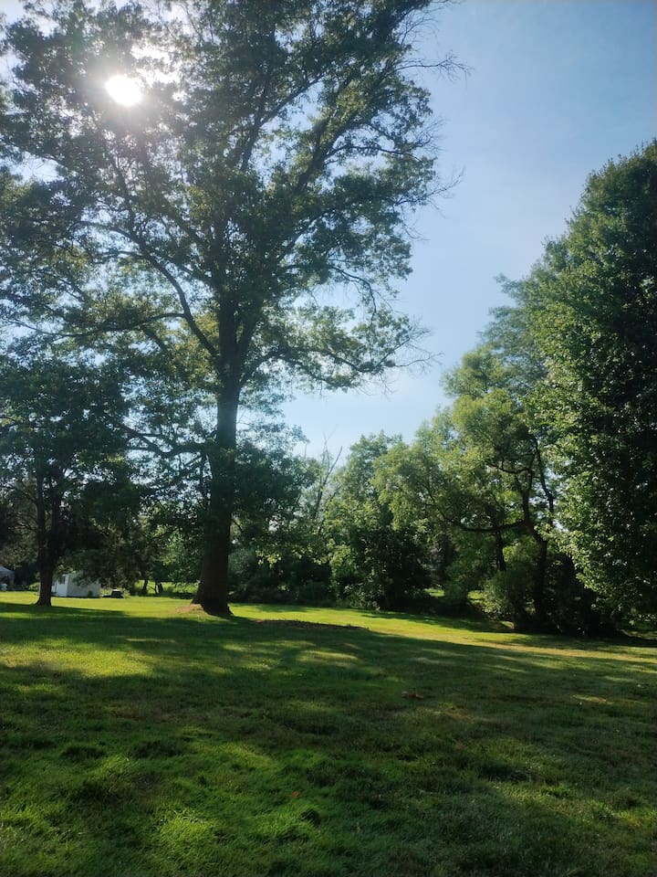 View of the backyard from the deck.