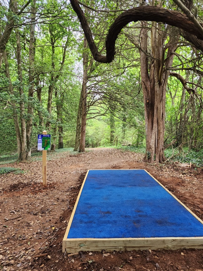 Disc Golf/Hoover Ridge