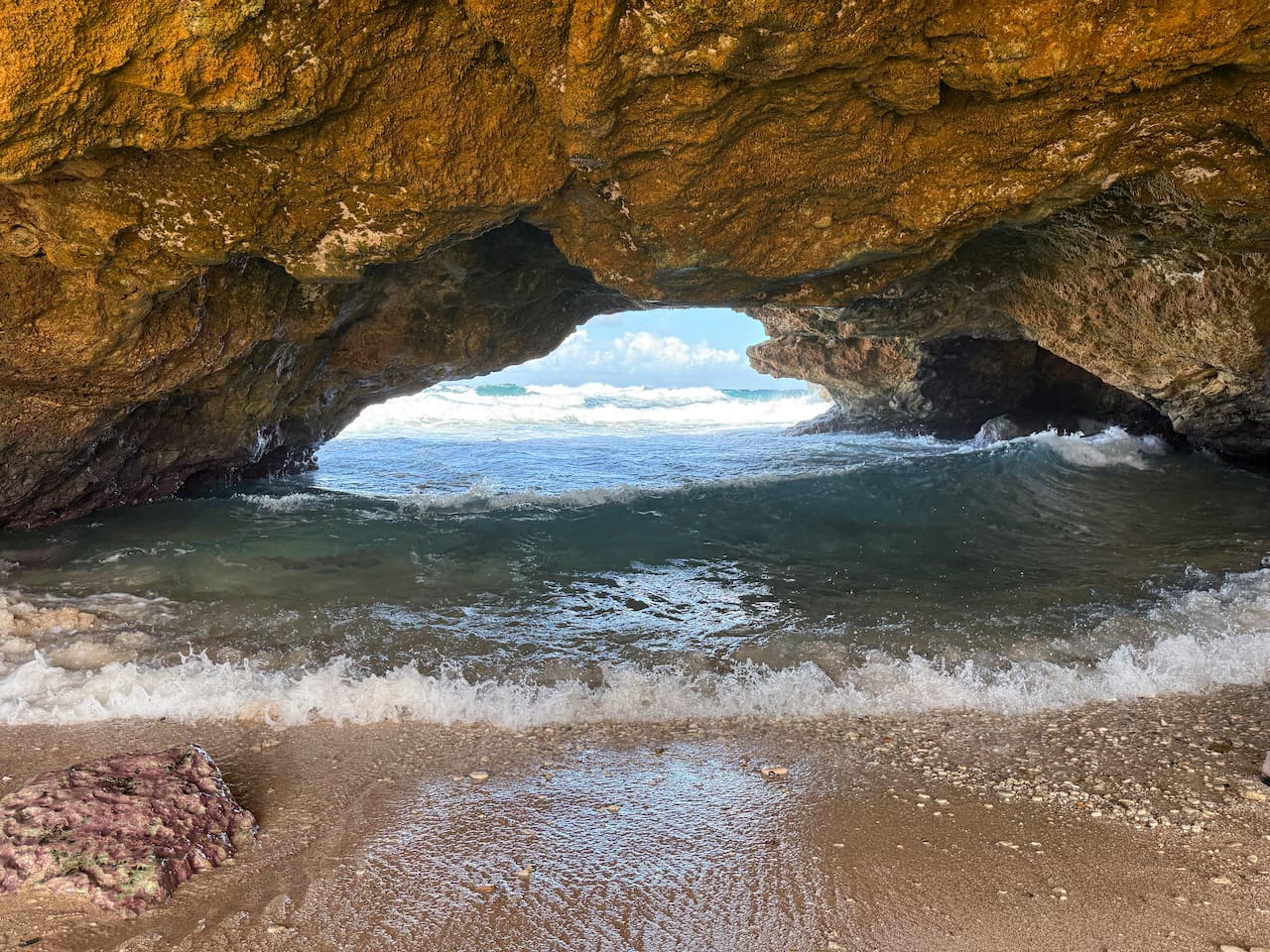 Visit Aruba's north coast for some unique sites!