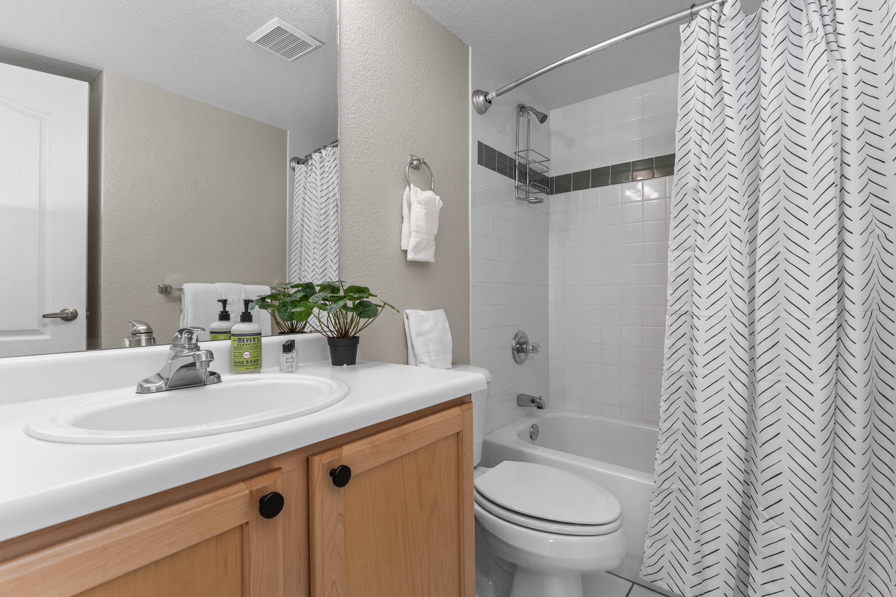 Bathroom 2 | Vanity Mirror, Toilet and BathTub