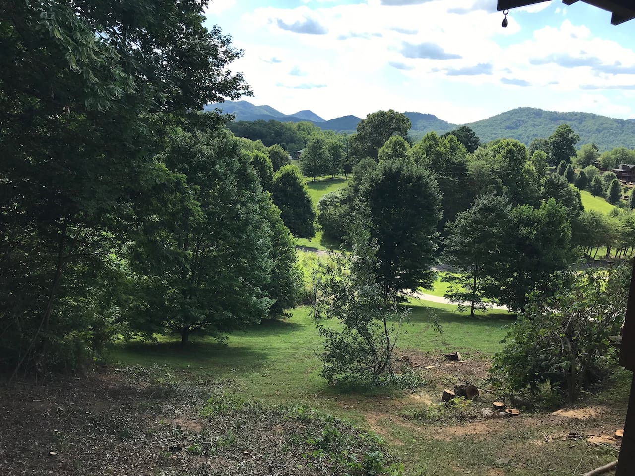 back yard from the deck