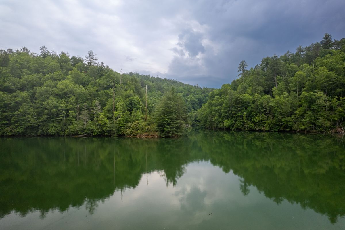 Waterfront Escape: Nestled among lush trees, enjoy serene lake views and nature's tranquility!