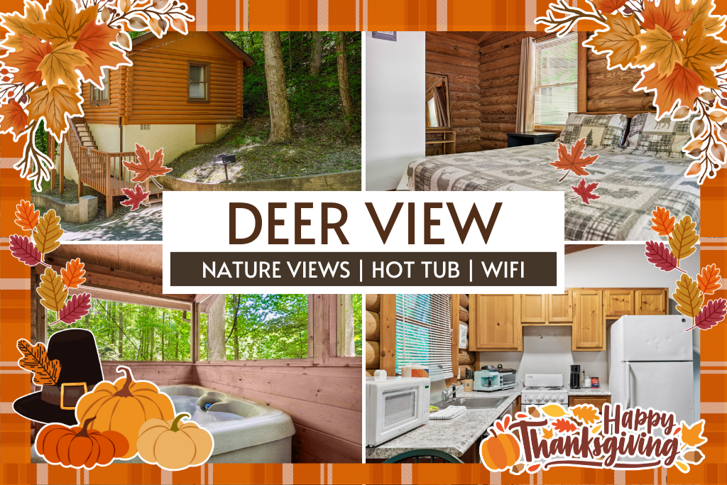 Nature views + cozy cabin vibes = your Smoky Mountain escape.
