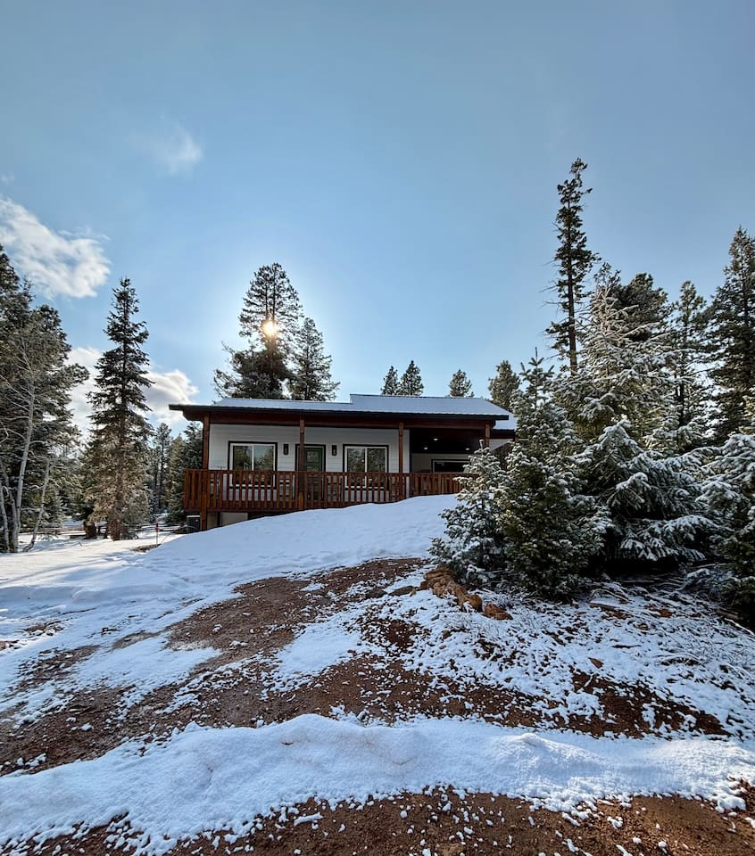 The cabin is set back from the street and surround by forest