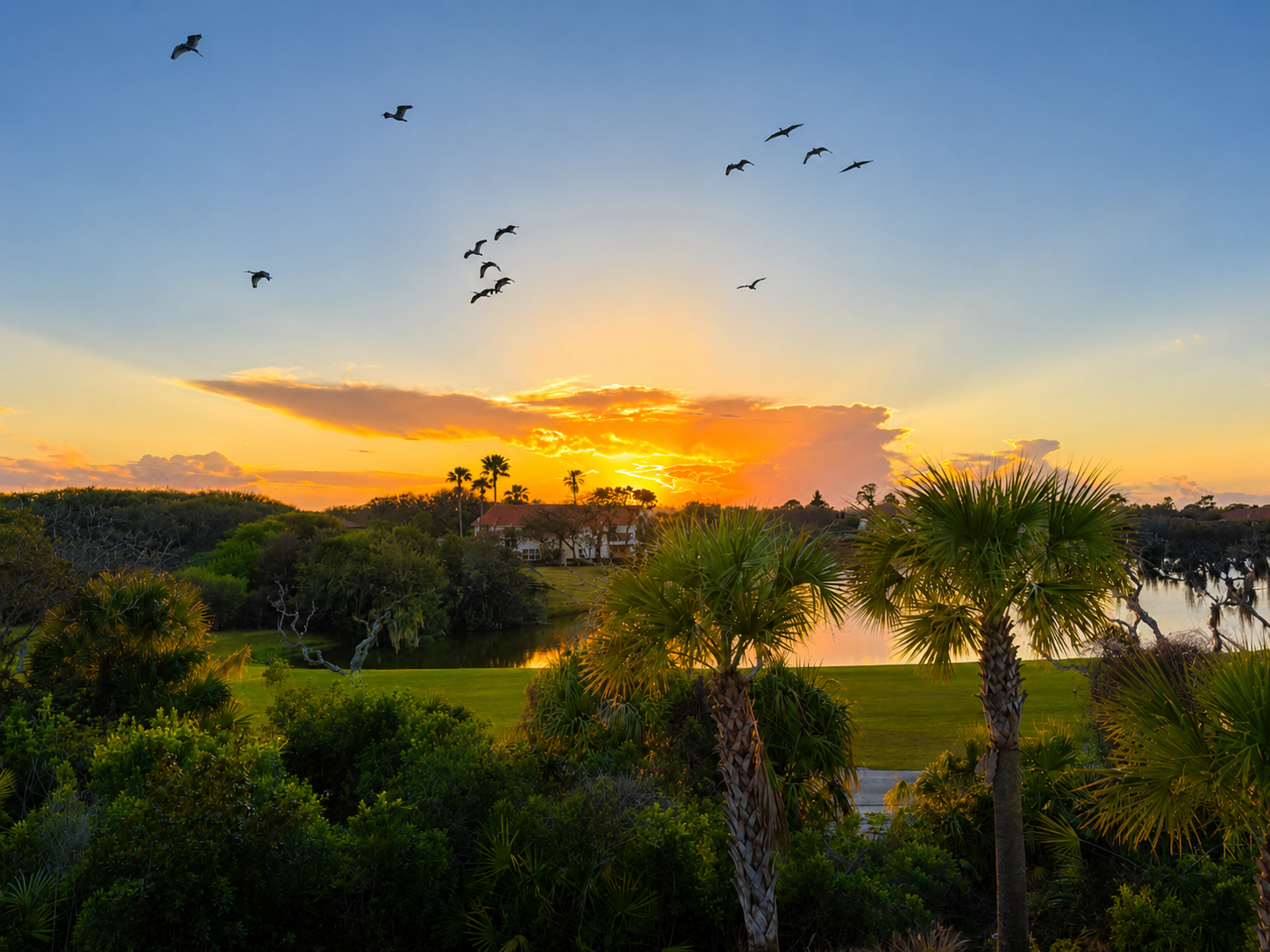 Each evening the sky performs, pelicans gliding home across a canvas of gold and rose. Gather the family, pause whatever you're doing, and simply watch. It's the kind of everyday wonder that reminds you exactly why you came to the coast.