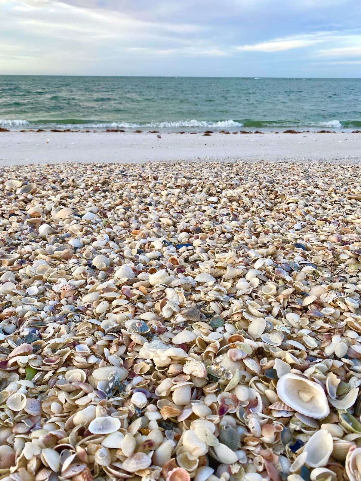 Welcome to the seashell capital of the world! Bring a bag-you will fill it