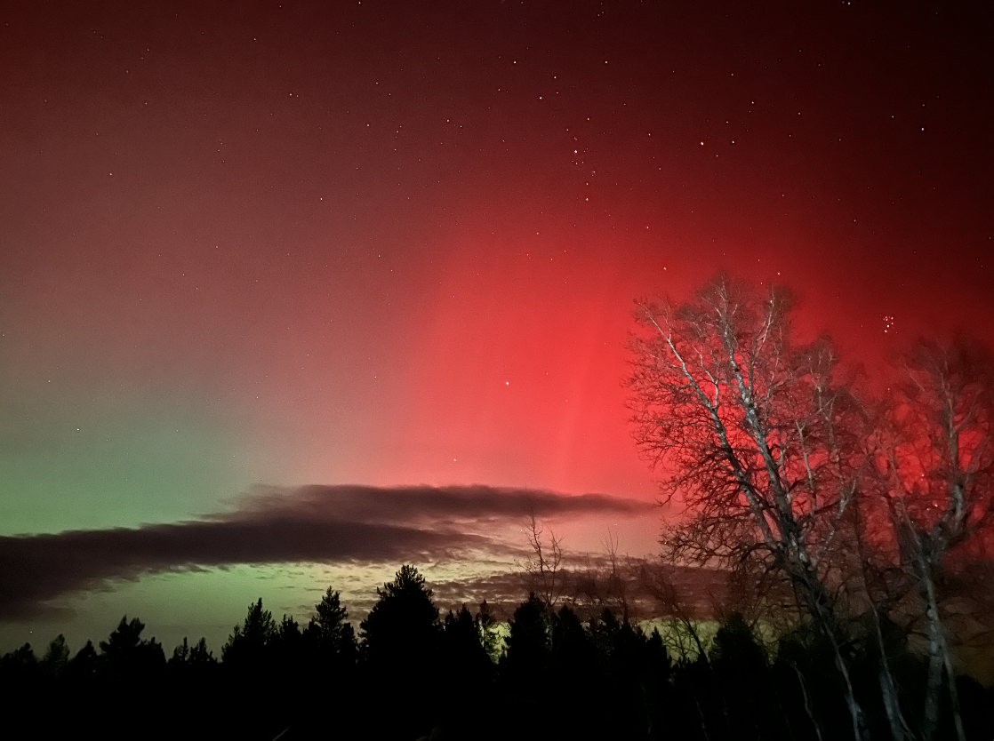 Northern Lights 1/2026