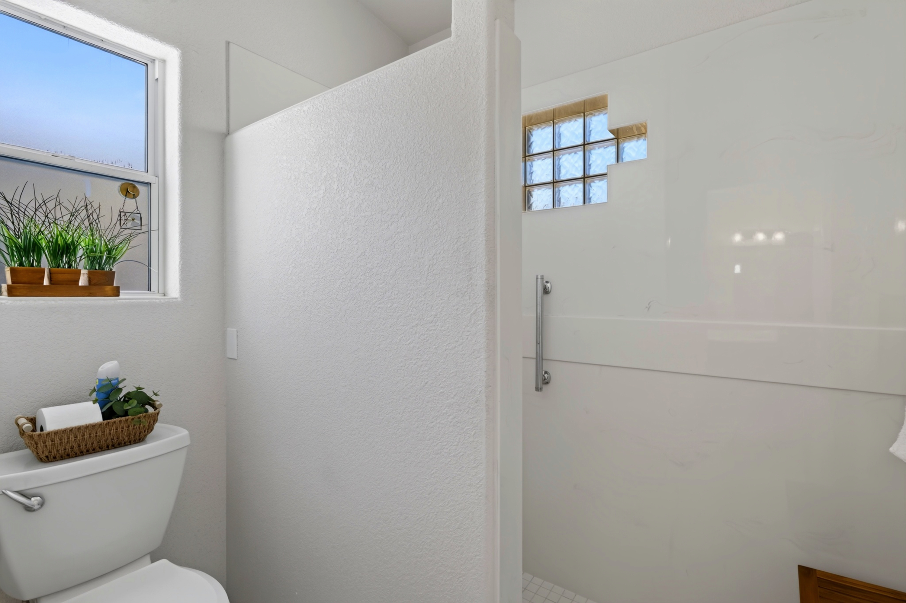 Master bathroom - privacy & walk in shower
