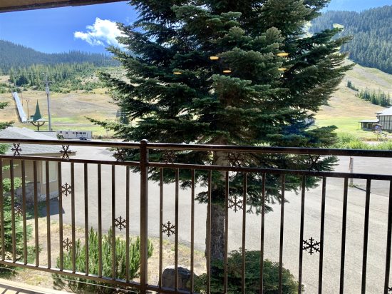 View from living room