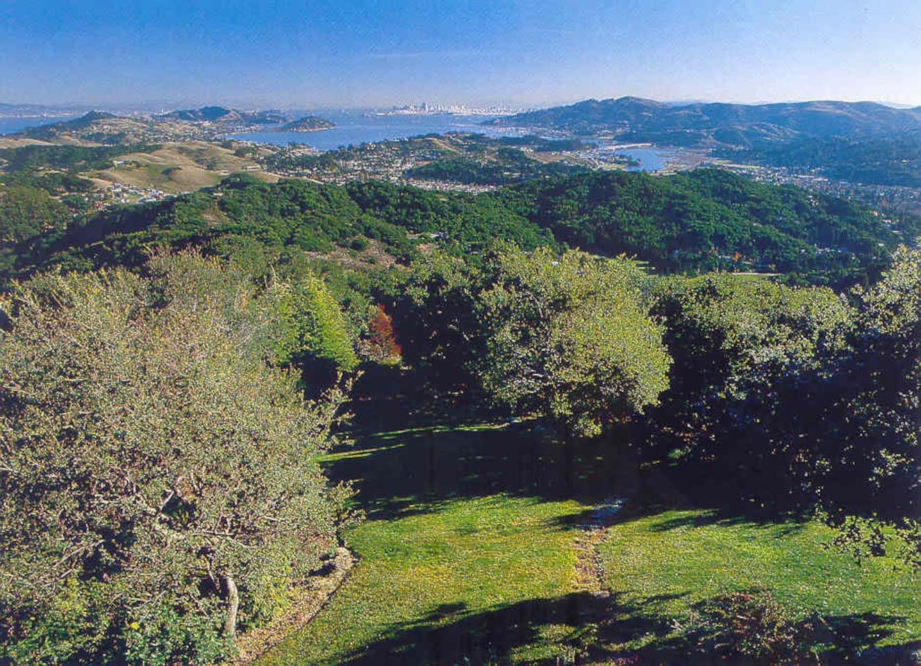 Hillside view of nature stretching across the valley