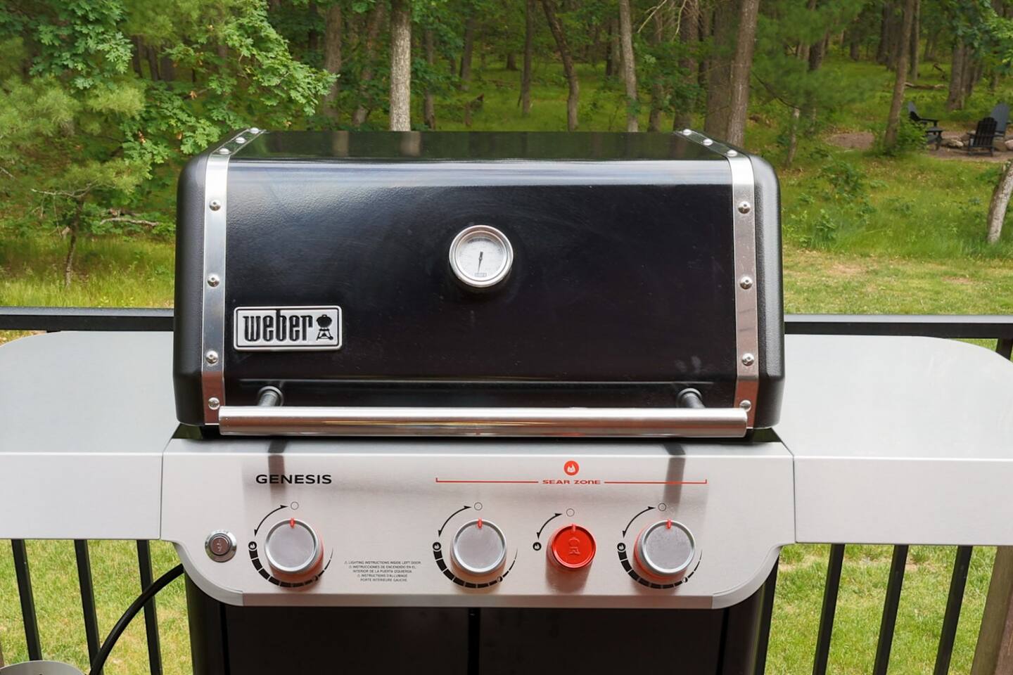 Gas Grill