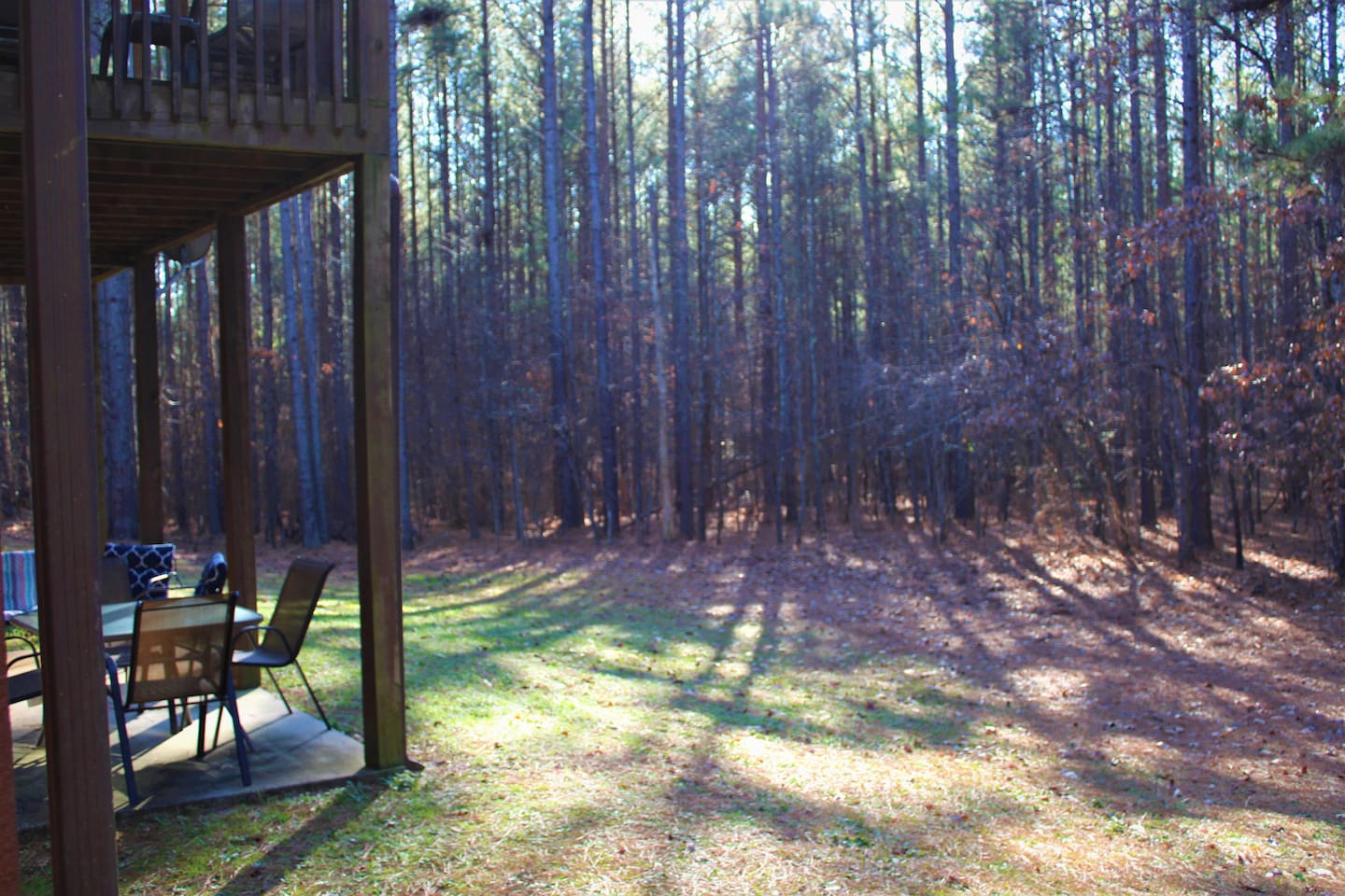 Huge yard with hot tub backs up to acres and acres of wooded land. Very private and quiet location with ocassional visits from neighborhood deer.