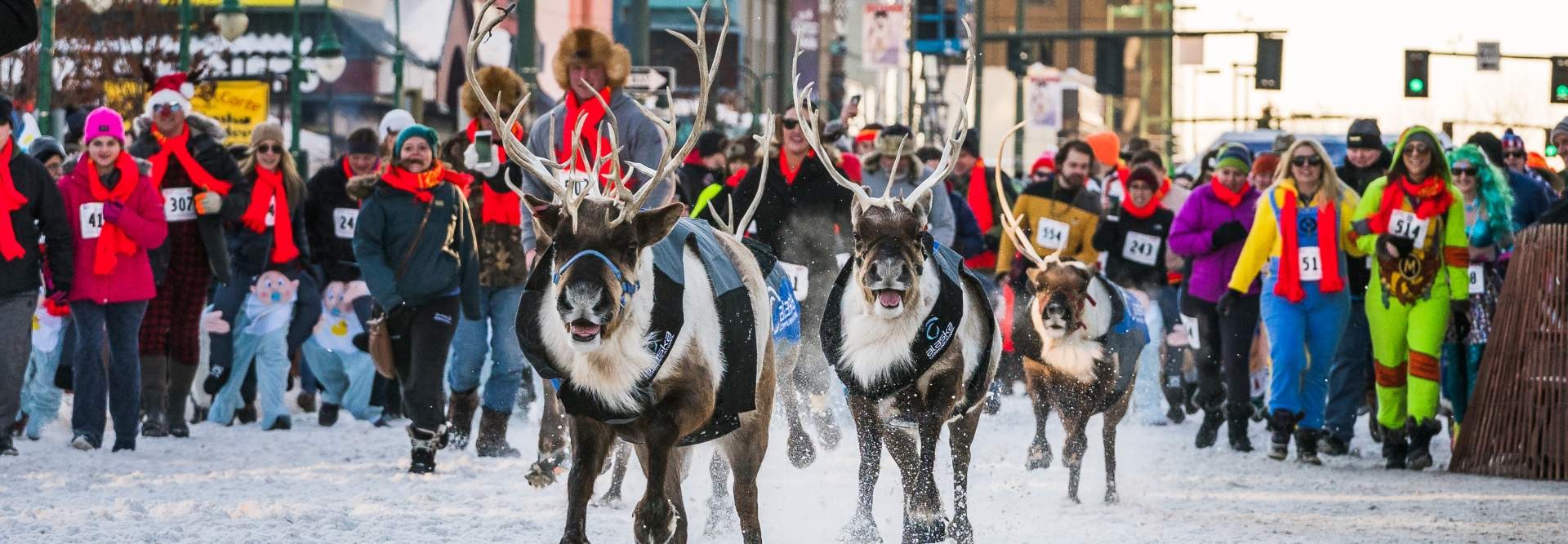 Rondy Festival - Running of the Reindeer