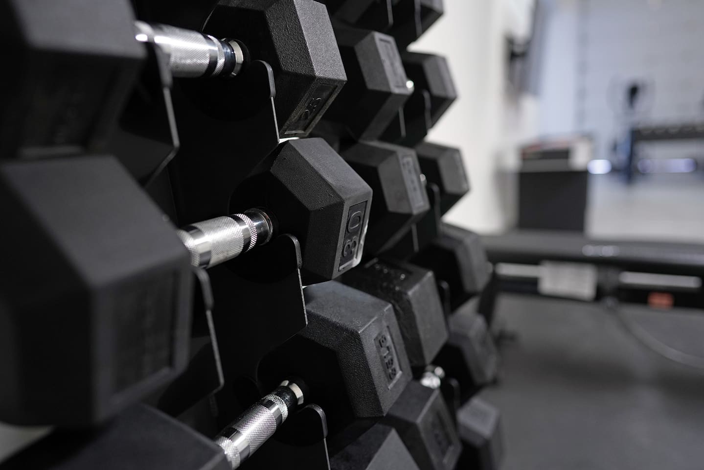 Air conditioned and heated garage space includes a NordicTrack treadmill, an elliptical machine, and a weight rack with 5lb. dumbbells all the way up to 50lbs.