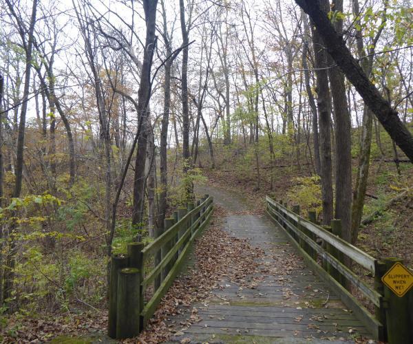 Wooded trails