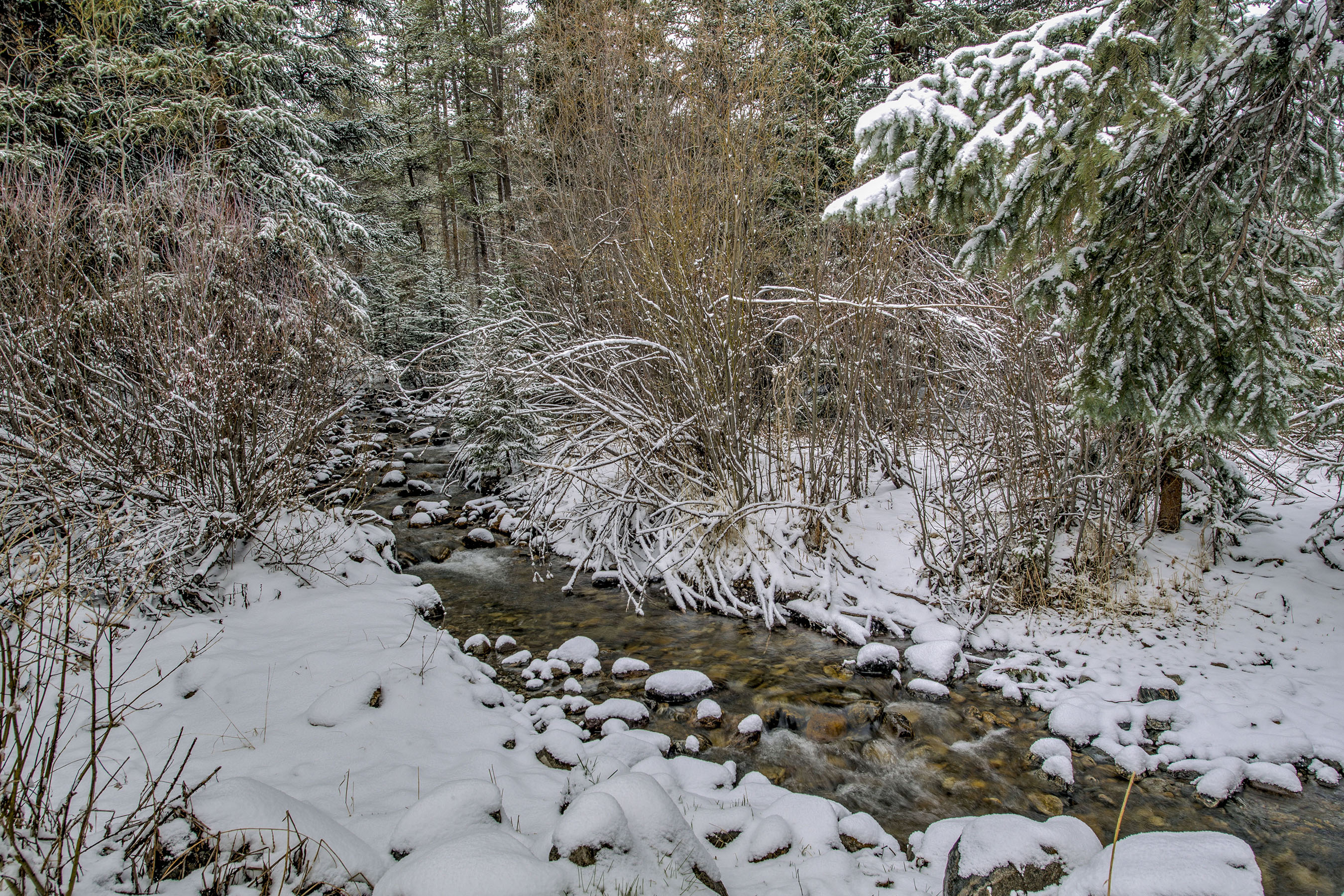 Wander along Spruce Creek, your private creek—snow-dusted trees and gentle flowing water create a peaceful escape where you can slow down and reconnect with nature.