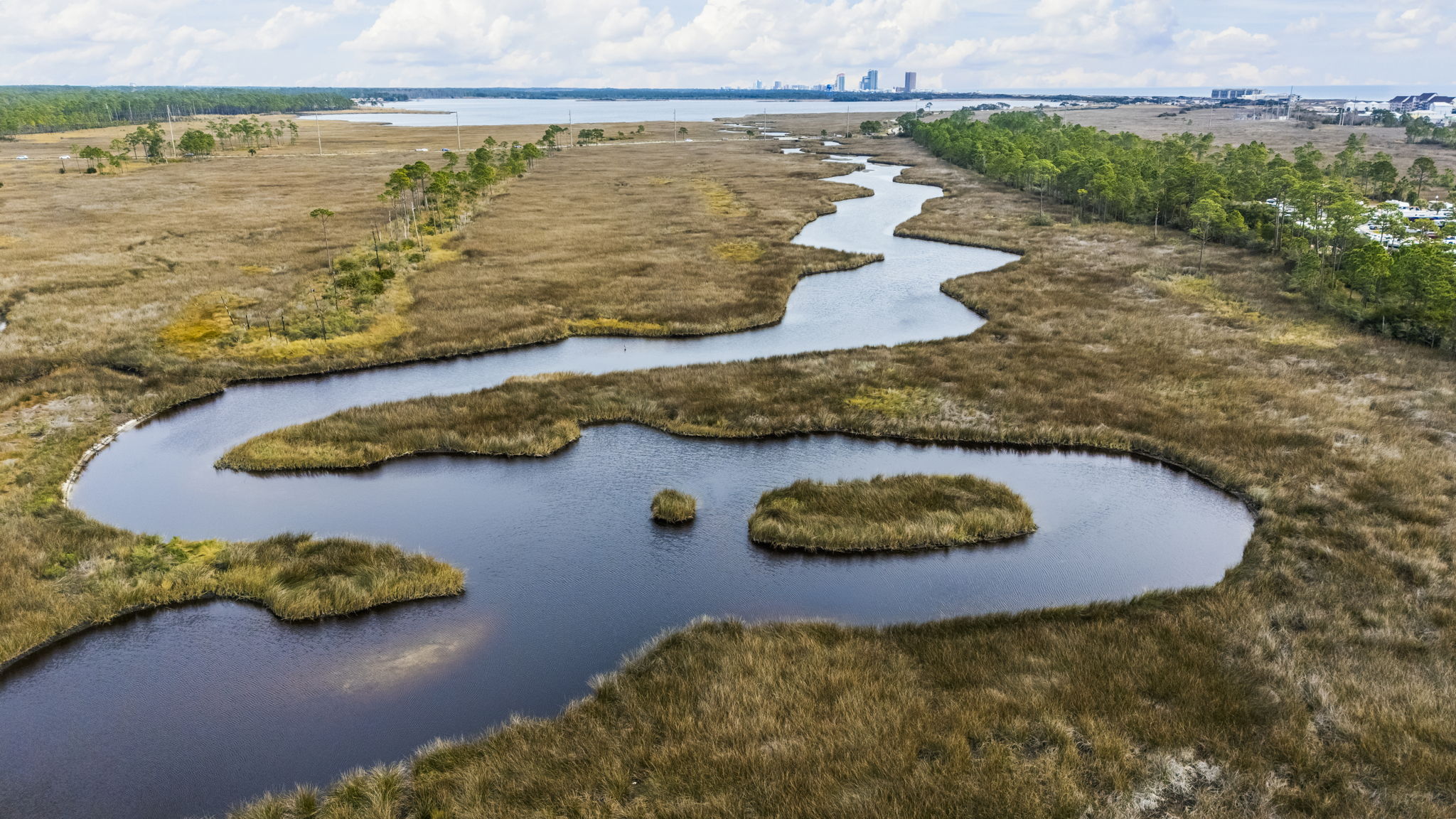 Distant Bayou View