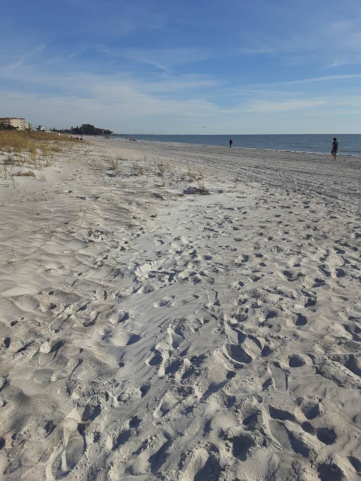 Madeira beach view South