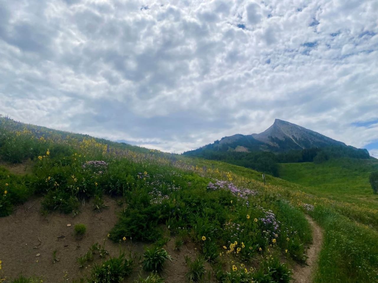Mt. CB trail from parking lot.