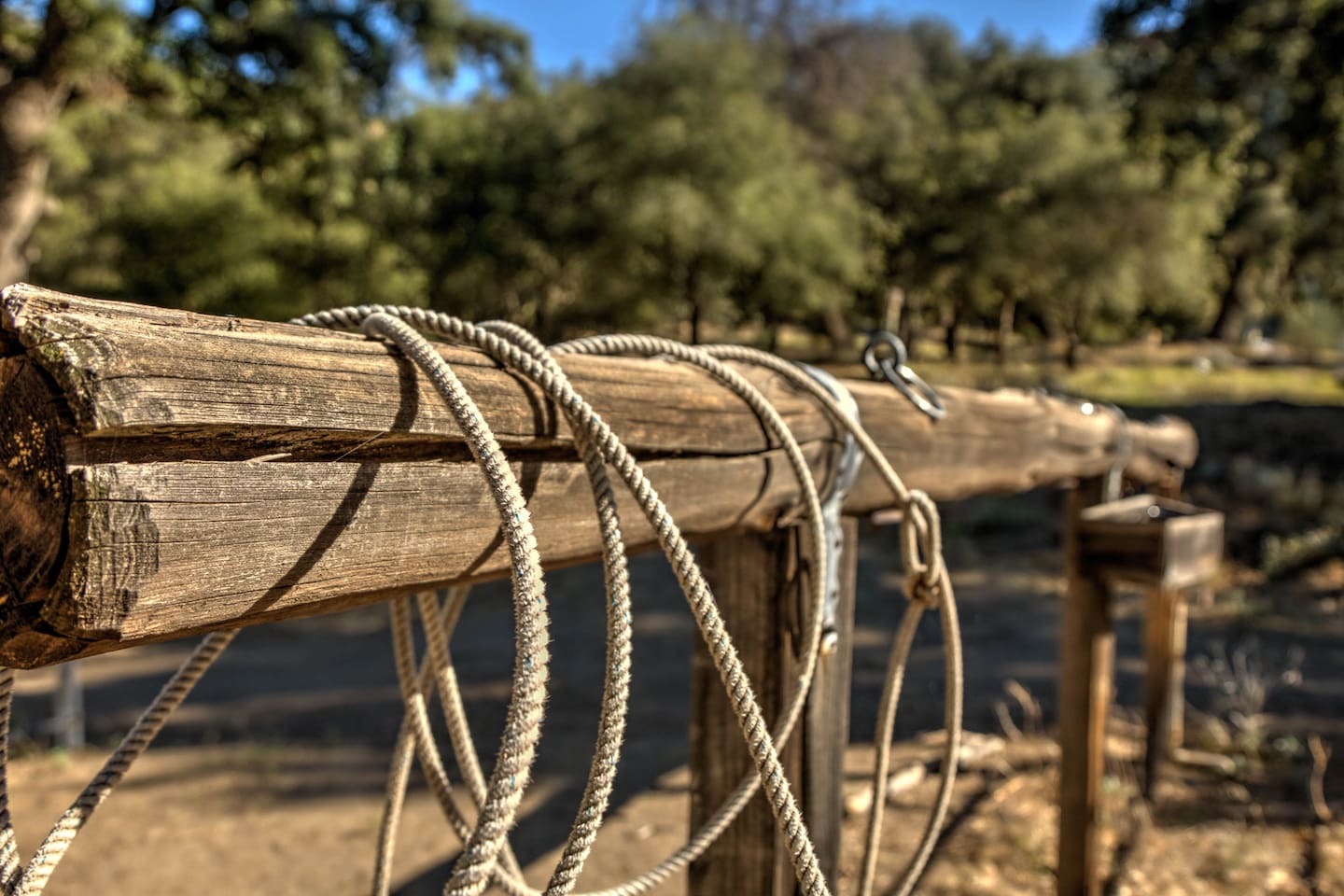 Corral area