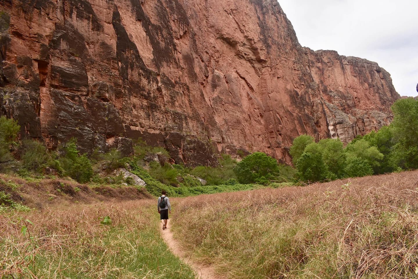 Mesa is a perfect hopping off point to travel up to Sedona to hike.