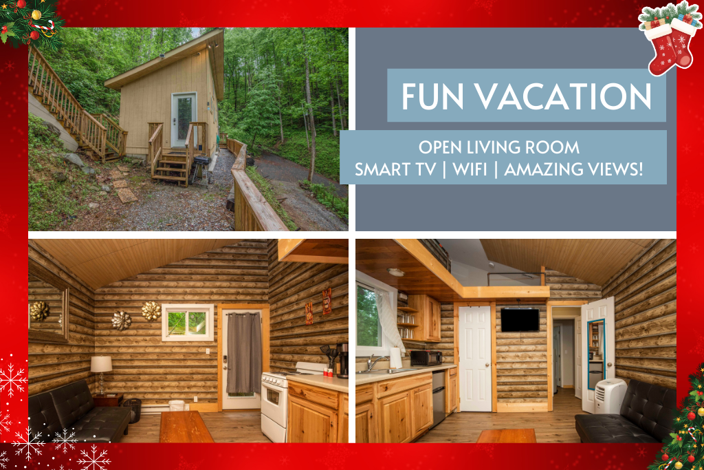 This cozy cabin features an open layout and all the essentials