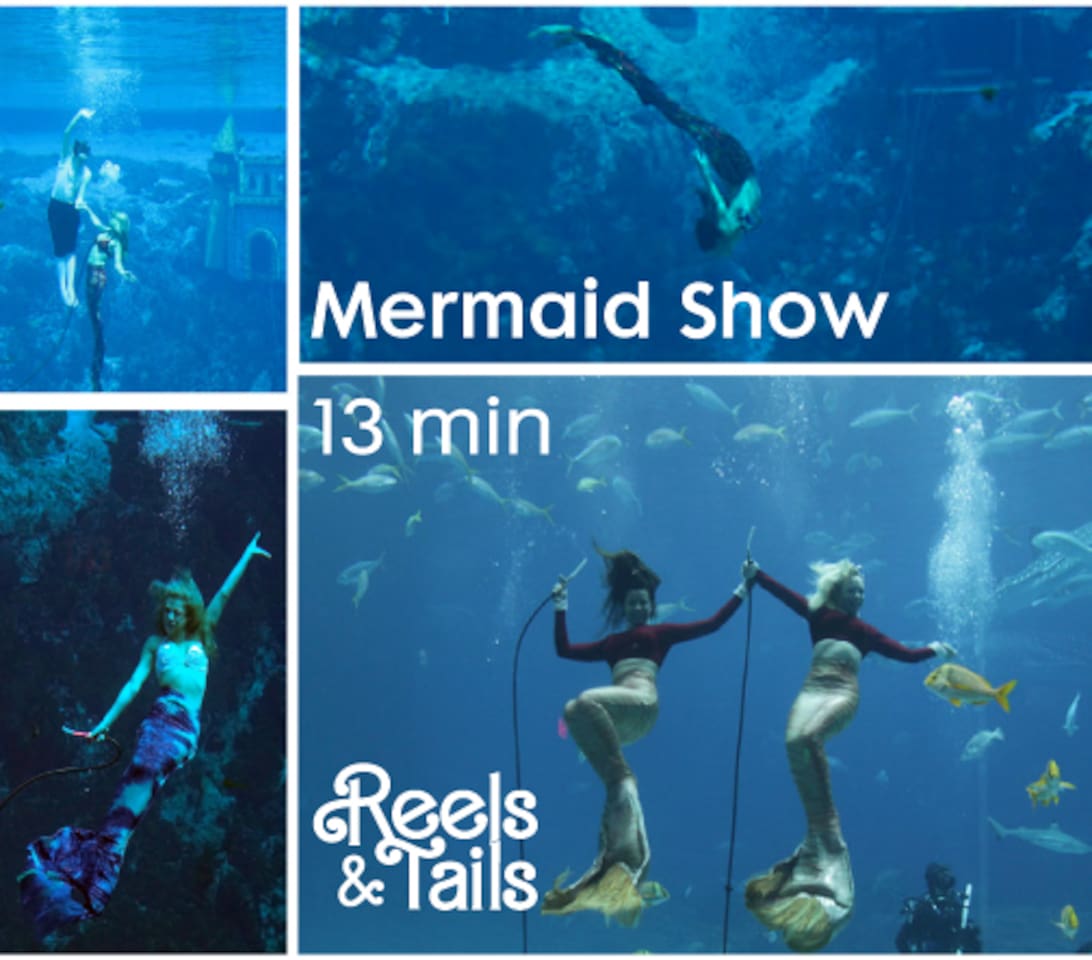 13 minute drive to watch the famous mermaid show at the Buccaneer bay in Weeki Wachee State Park.
