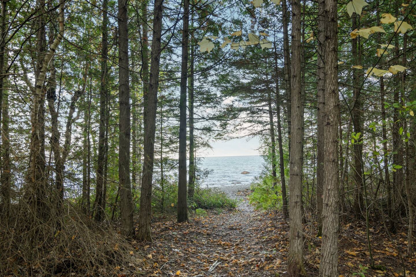 Walk out of the woods to the captivating views of crystal-clear Lake Huron!