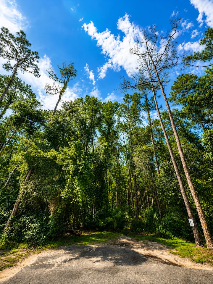 Peaceful surroundings add a relaxing natural backdrop to the community.