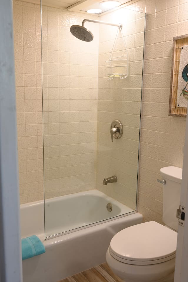 Guest bedroom en-suite bath