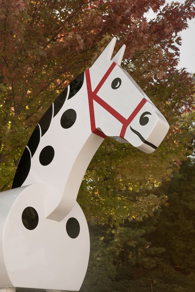 Murray the Horse--Tryon's mascot.