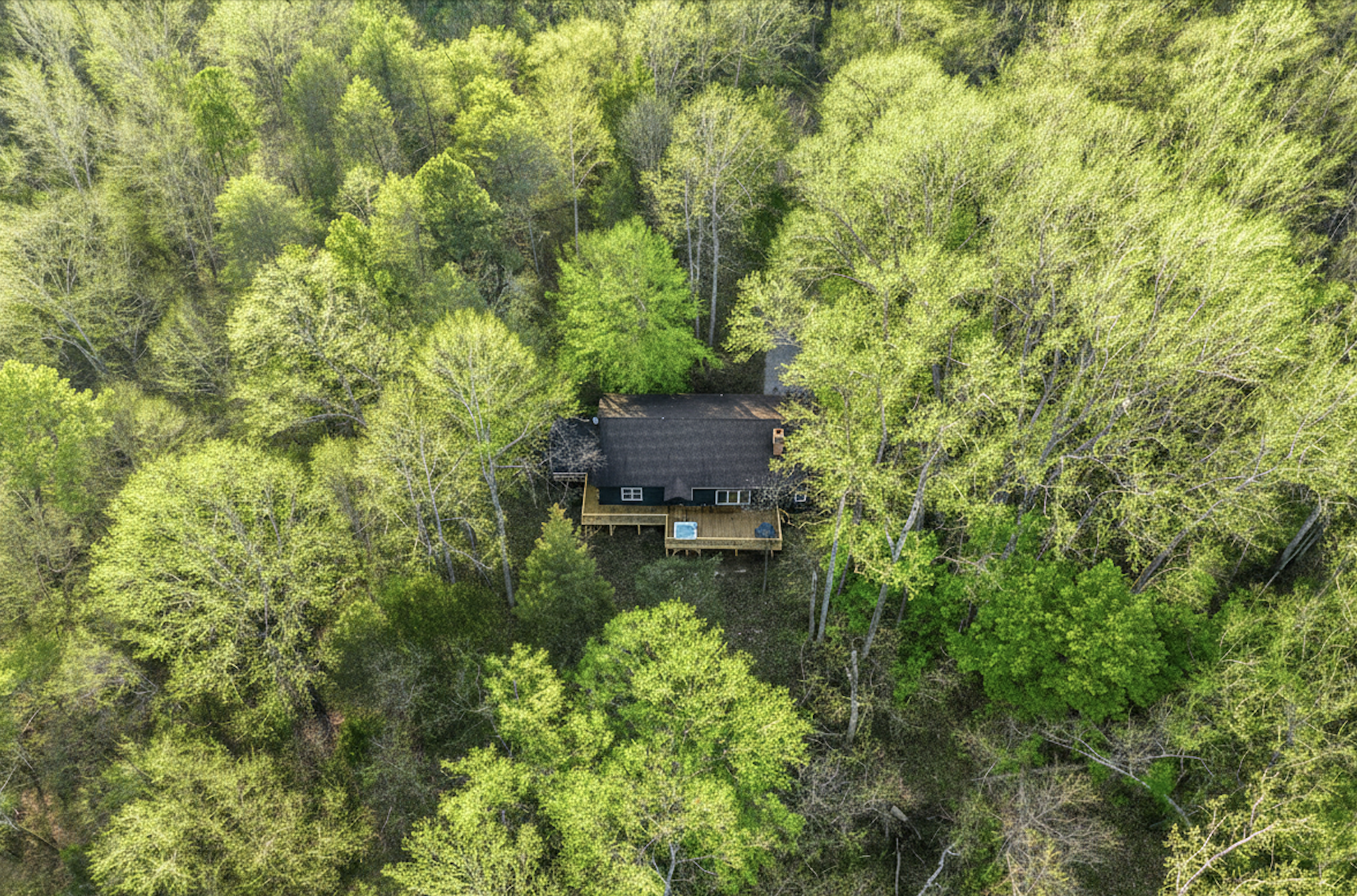 Charming Retreat: Nestled in nature, your tranquil escape awaits beneath vibrant treetops!