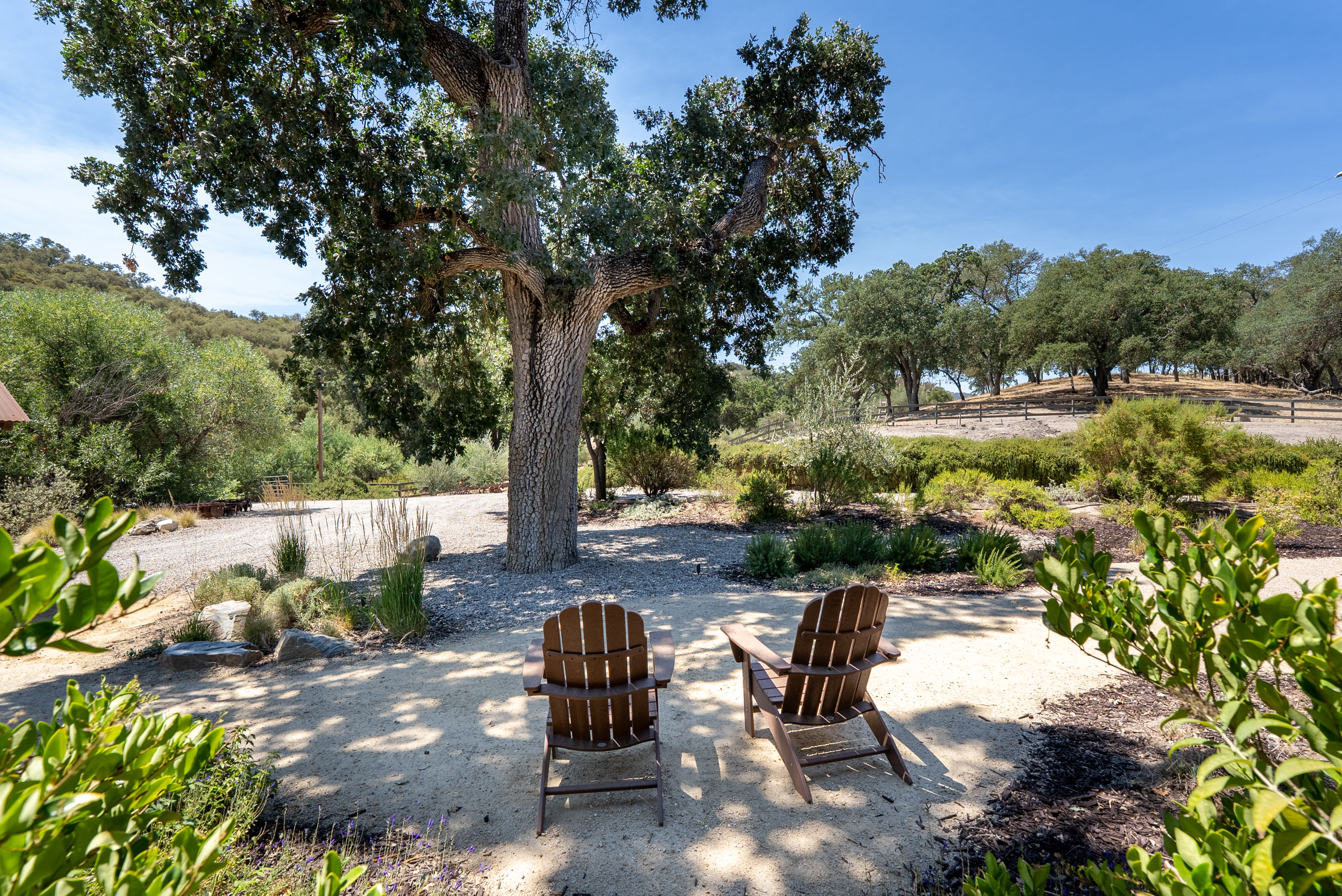 Surrounded by majestic oaks—welcome to Oaks & Madeira