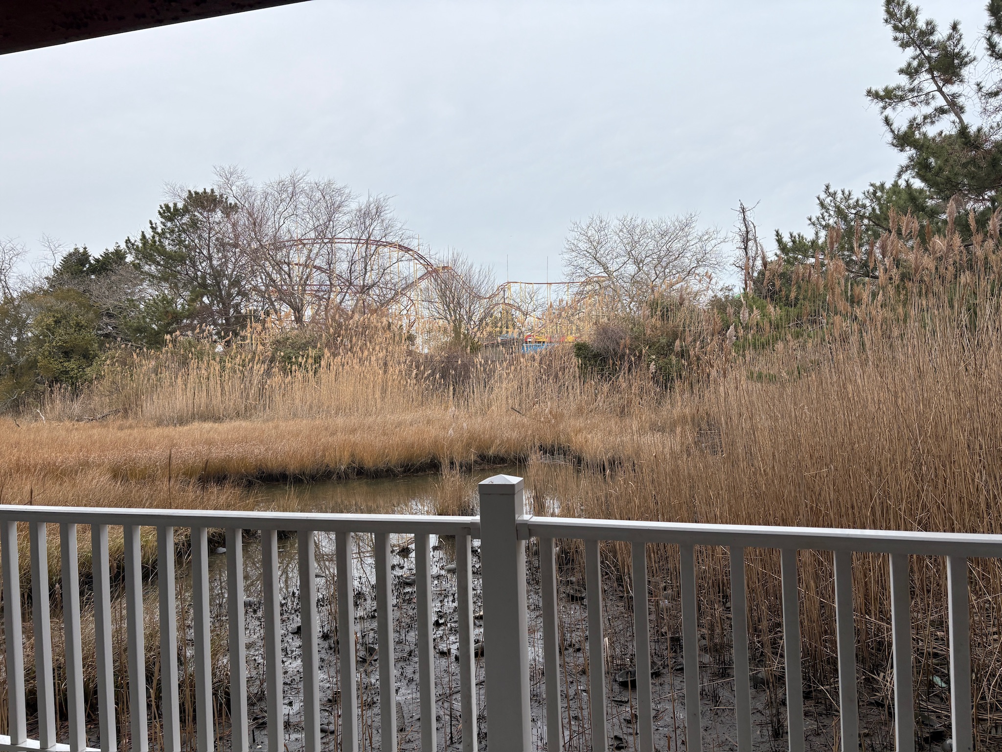 view of water and the amusement park