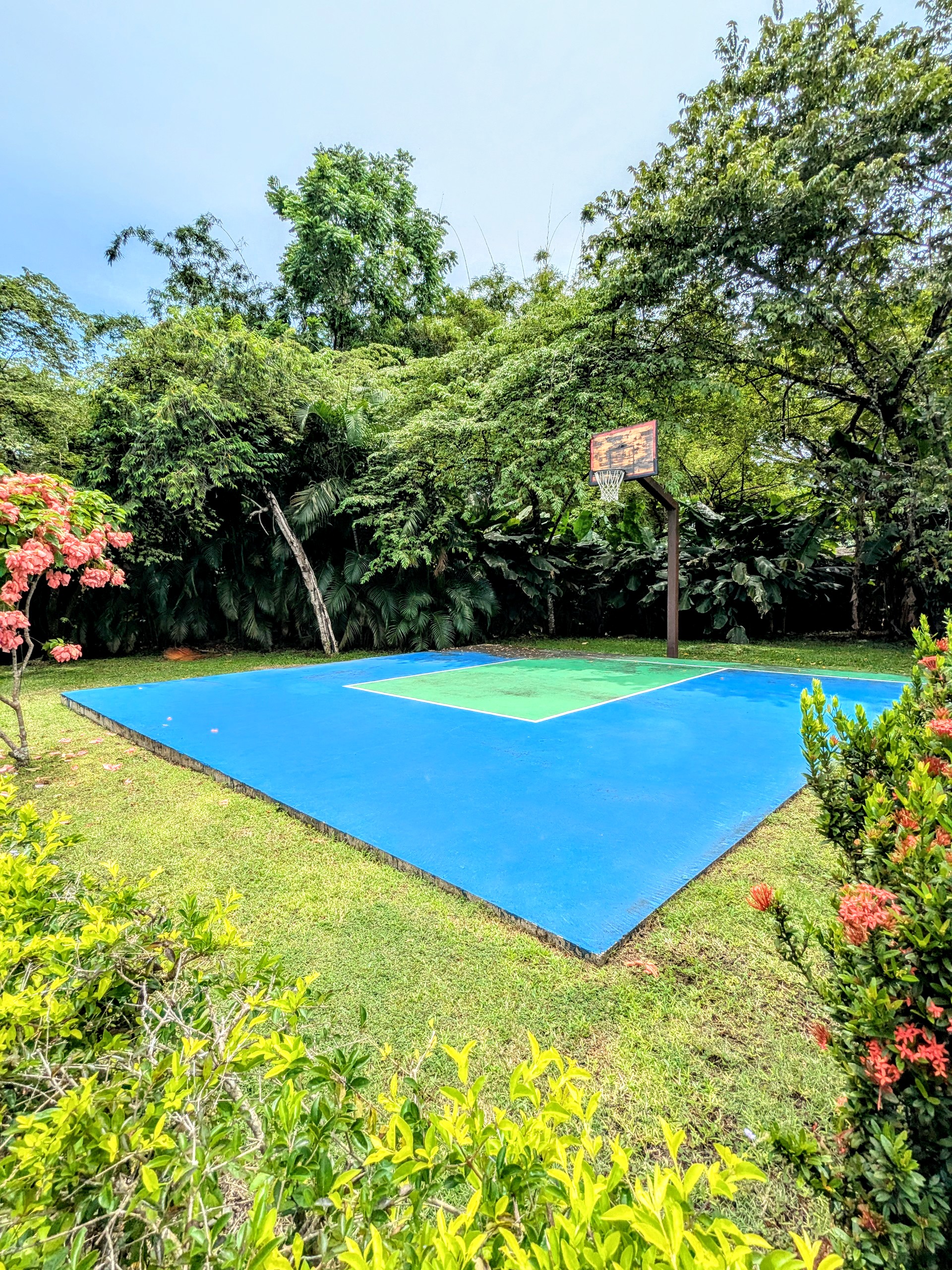 Basketball Court!