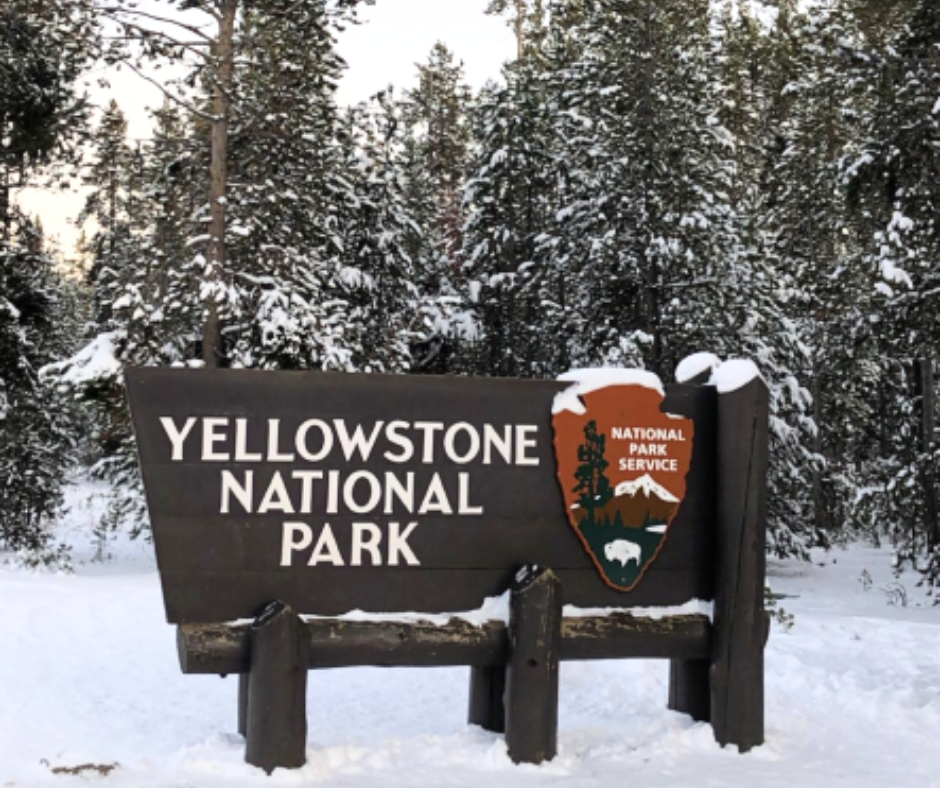 Experience the wonder of Yellowstone in winter, where snow-covered pines and steaming geysers set the scene for unforgettable adventures. Gibbon Meadows Lodge is your warm, comfortable base for exploring the park’s quiet beauty.