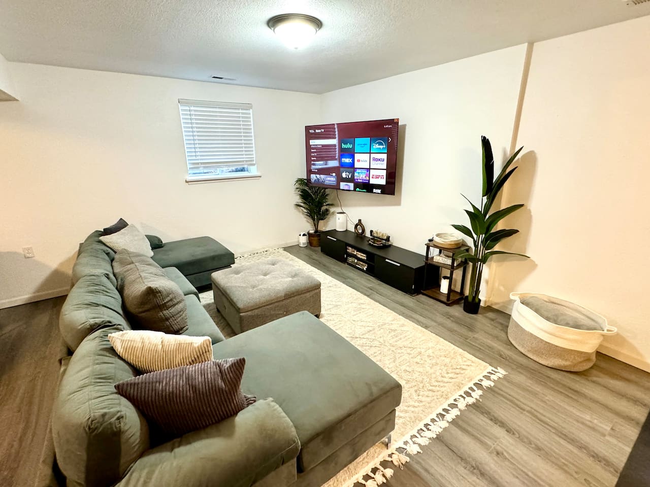 Basement living area 