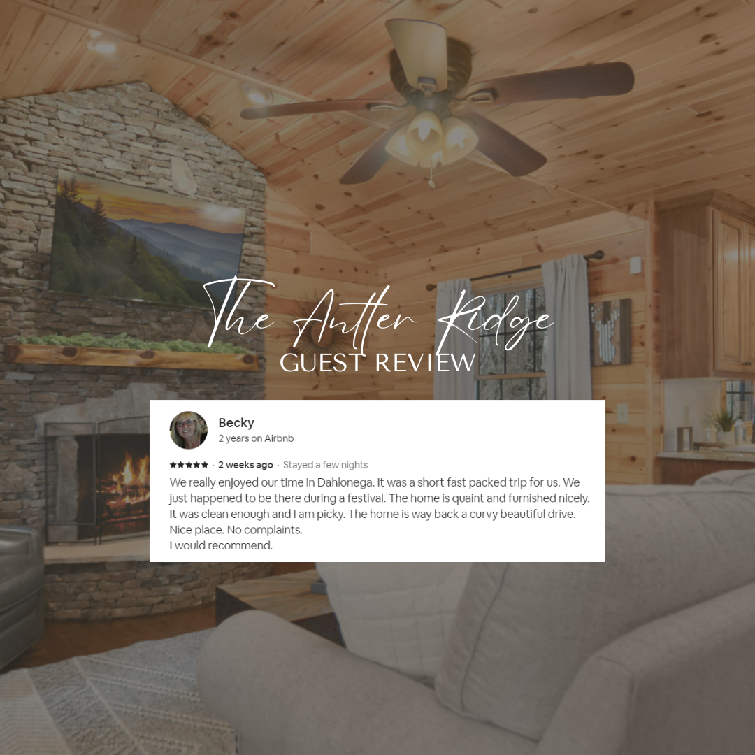Newly Renovated Luxury Cabin + Fire Pit 3