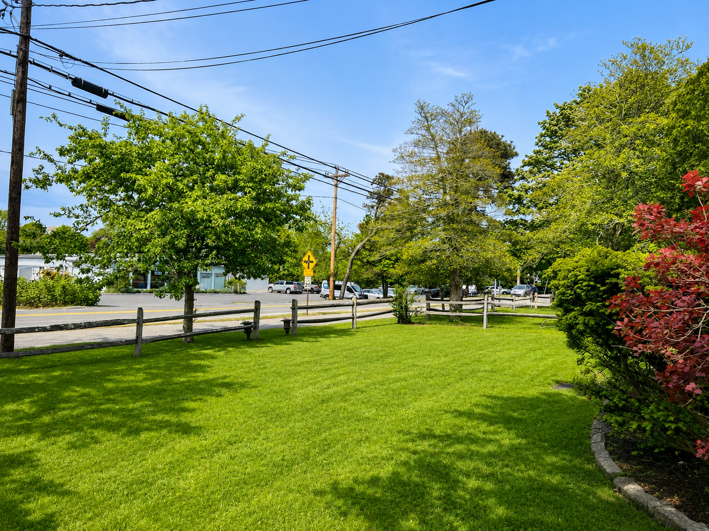 Front Yard
