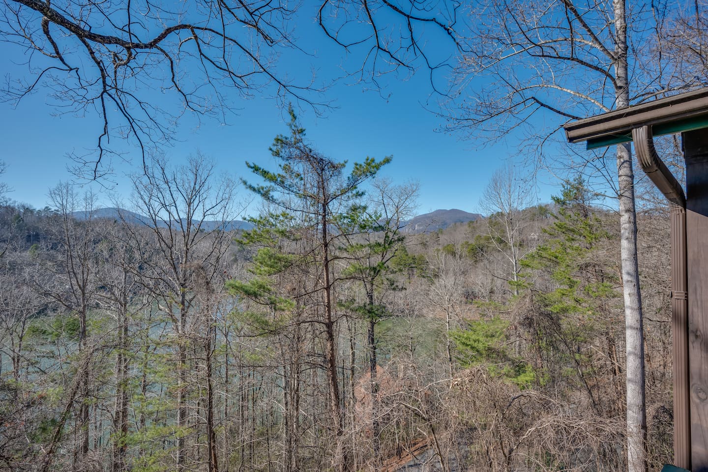 Views from the cabin
